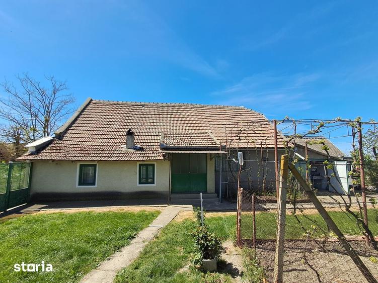 Valcani, proprietate cu casa taraneasca - 9