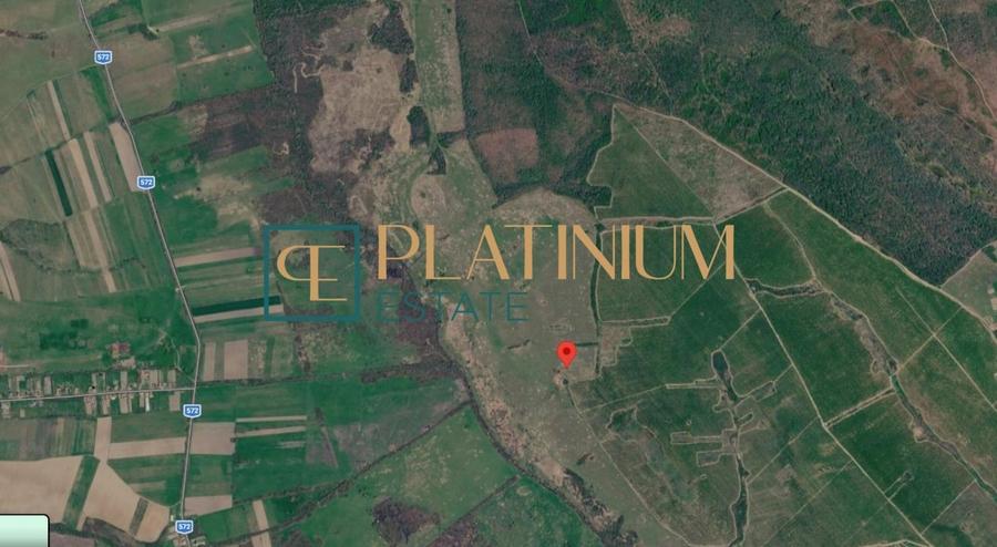 Teren agricol extravilan de 64700 mp, în Ghizela