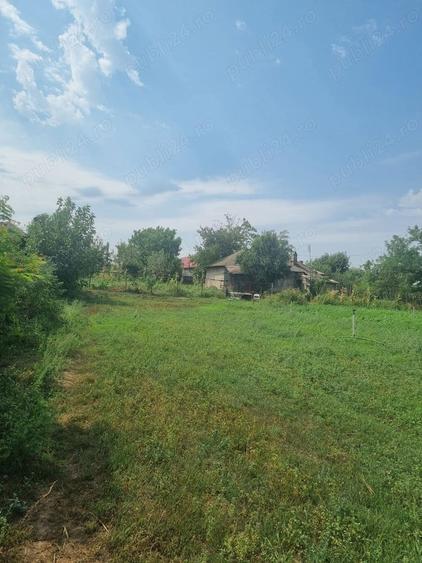 Teren de 3600 mp, în Plosca