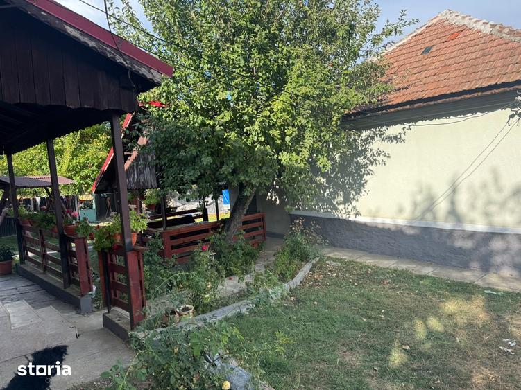 Casă cu 5 camere cu Teren 11000 Mp în Alimpești
