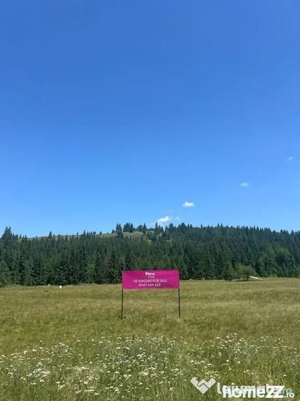 Teren de 40250 mp, în Comandău
