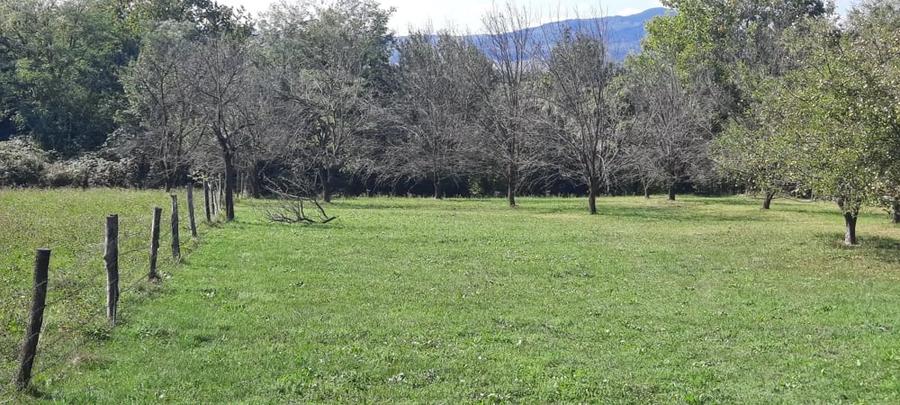 Teren de 8540 mp, în Breaza