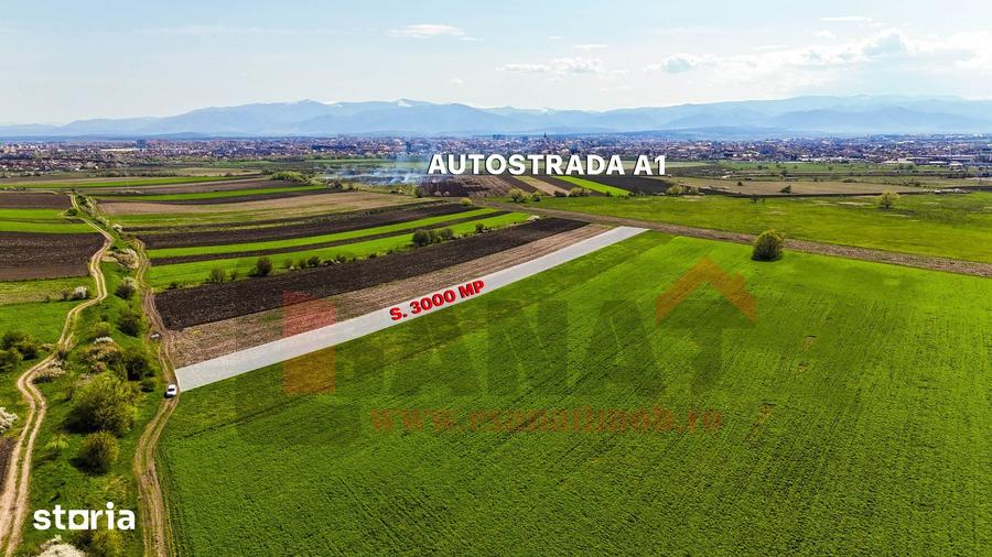 Teren de 3000 mp, în Gușterița