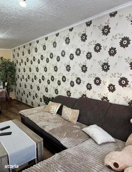Casă cu 5 camere cu Teren 7700 Mp în Ineu
