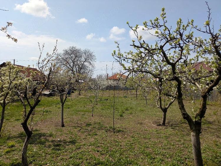 Teren de 845 mp, în Oreavul