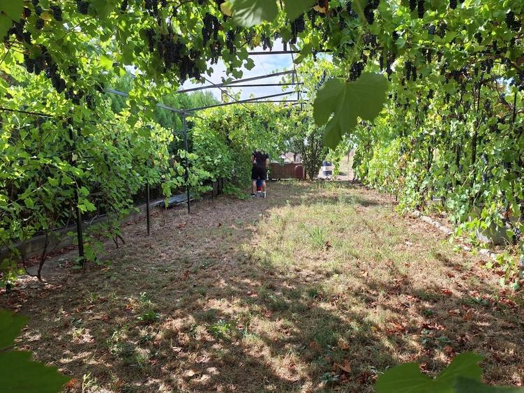 Casă cu 5 camere cu Teren 4200 Mp în Central