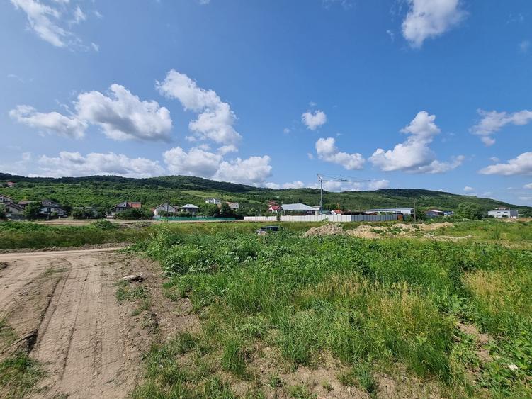 Teren Construcții intravilan de 18157 mp, în Tomești