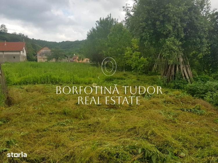 COMISION 0% | 3 constructii | Teren 2.100mp | Simisna, Salaj - 6