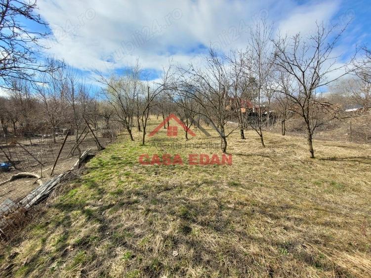Casă cu Teren 3676 Mp în Poiana