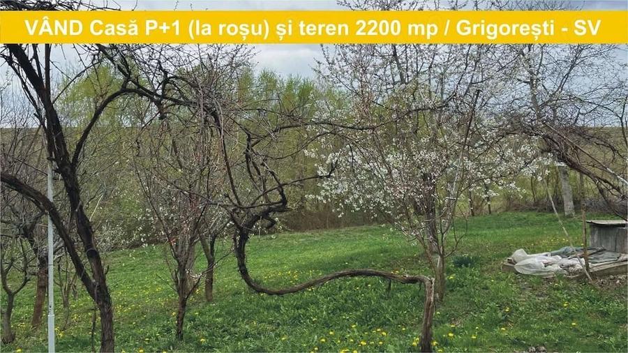 Casă cu 2 camere cu Teren 2200 Mp în Grigorești