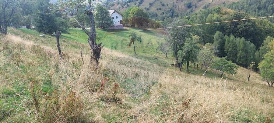 Teren agricol intravilan de 4608 mp, în Măgura