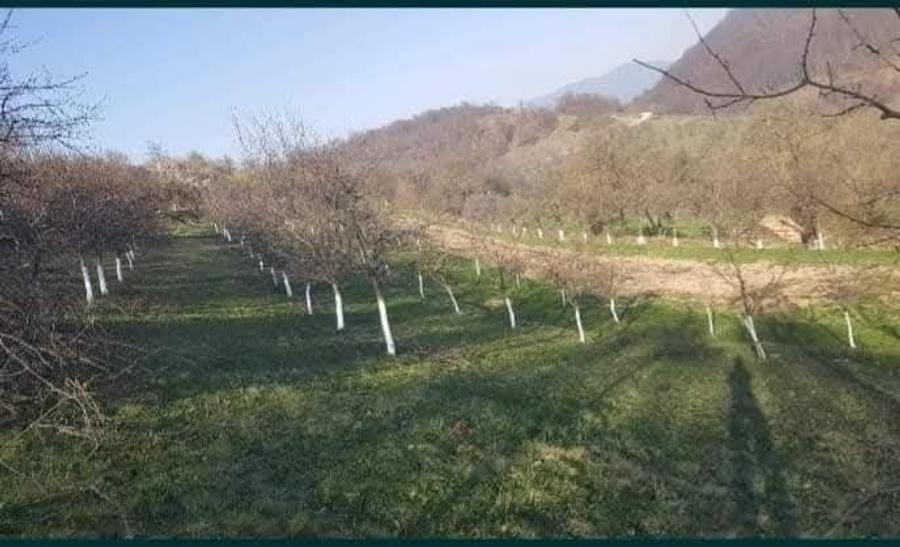 Casă cu 4 camere în Câmp