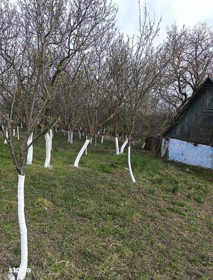 Casă cu 2 camere cu Teren 2100 Mp în Cehal