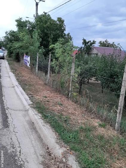 Teren în Central