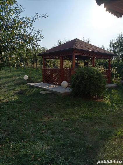 Teren de 11600 mp, în Câmpenești