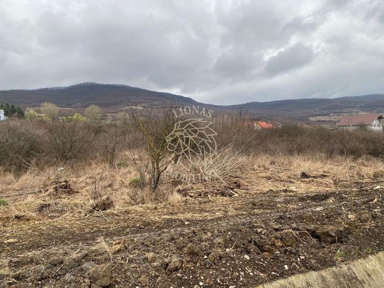 Teren Construcții intravilan de 12719 mp, în Crainimăt