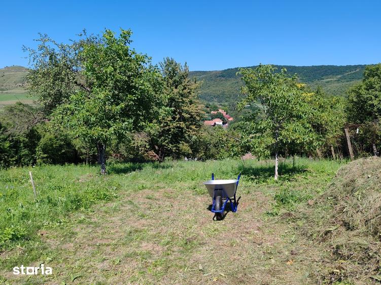 Teren de 1719 mp, în Baciu
