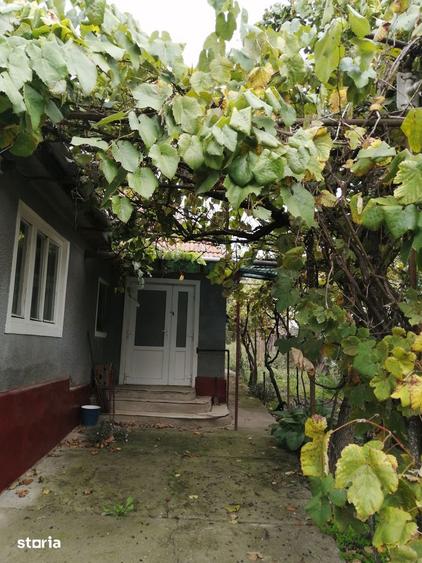 vand casa cu 3 camere, curte mare + gradina in Ro?ia de Seca? - 2