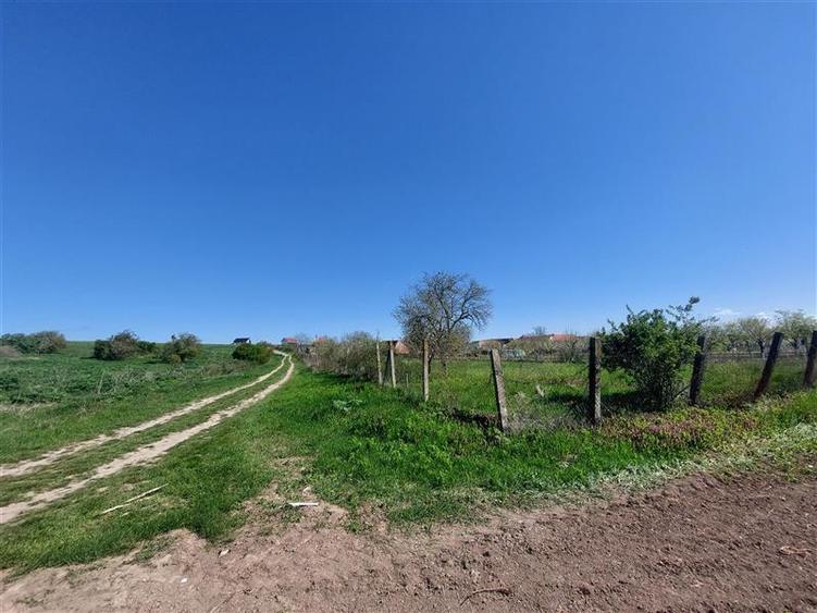 Teren intravilan de 50000 mp, în Pișchia