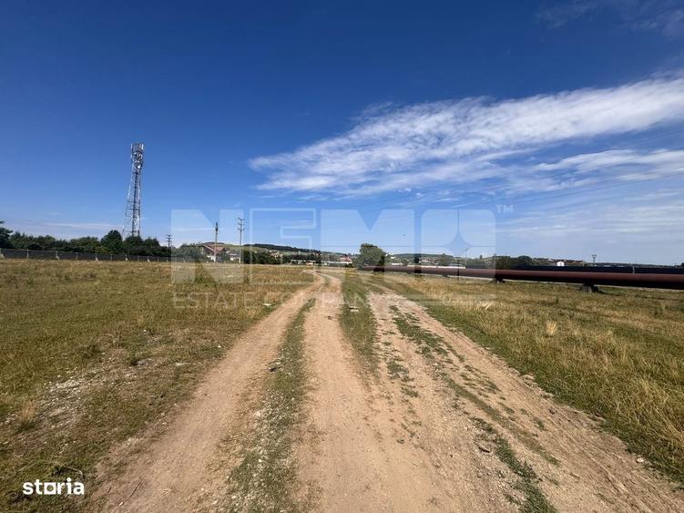 Teren Itcani | 31 Ari | Extravilan | Deschidere 11.5 MP | 93000 Euro - 4