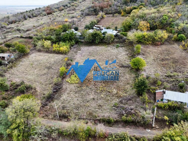 Teren intravilan NICULITEL, zona deosebita, 3044MP - 12