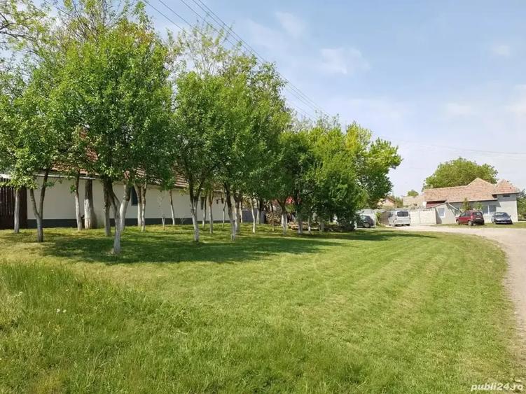 Casă cu 4 camere cu Teren 1600 Mp în Orțișoara