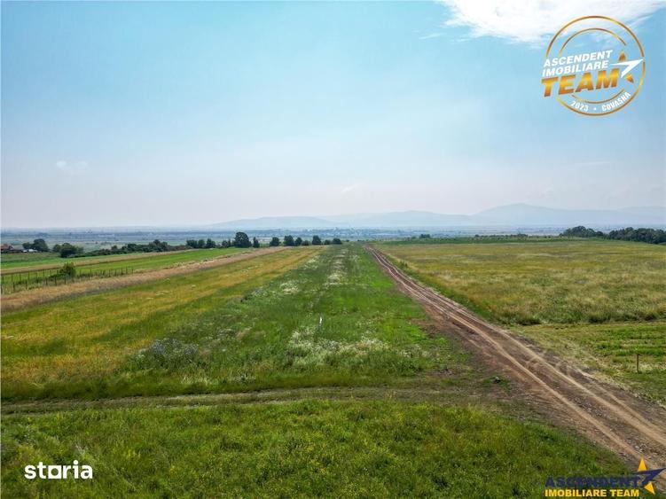 Teren de 573 mp, în Central