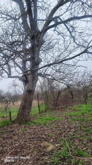 Casă cu 3 camere cu Teren 2058 Mp în Scorțeni