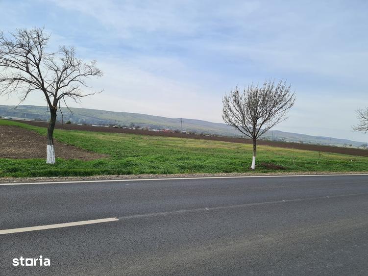 Teren de 4544 mp, în Adjud