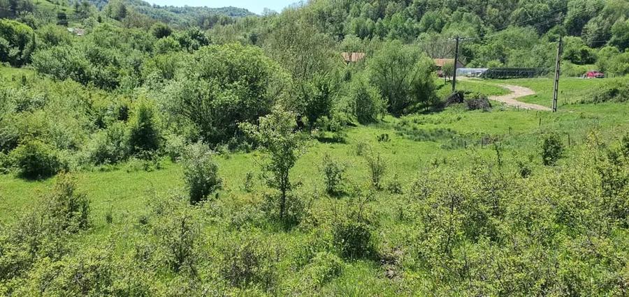 Teren de 5850 mp, în Crușovița