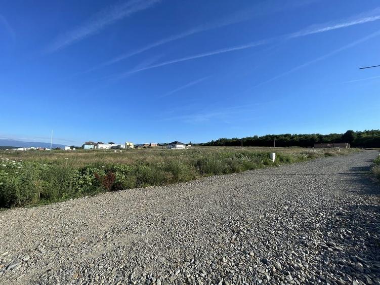 Teren de 501 mp, în Central