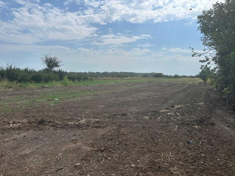 Teren intravilan 3.650 mp in Calugareni, Dambovita la 40 km de Bucuresti, ideal pentru constructie - 5