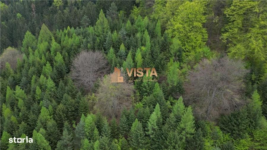 Spațiu comercial, în Timișu de Jos