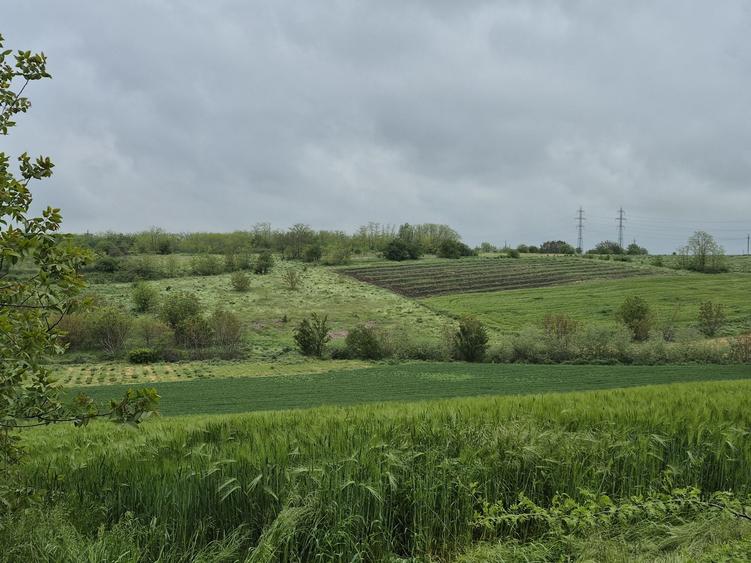 Teren de 770 mp, în Vlad Țepeș