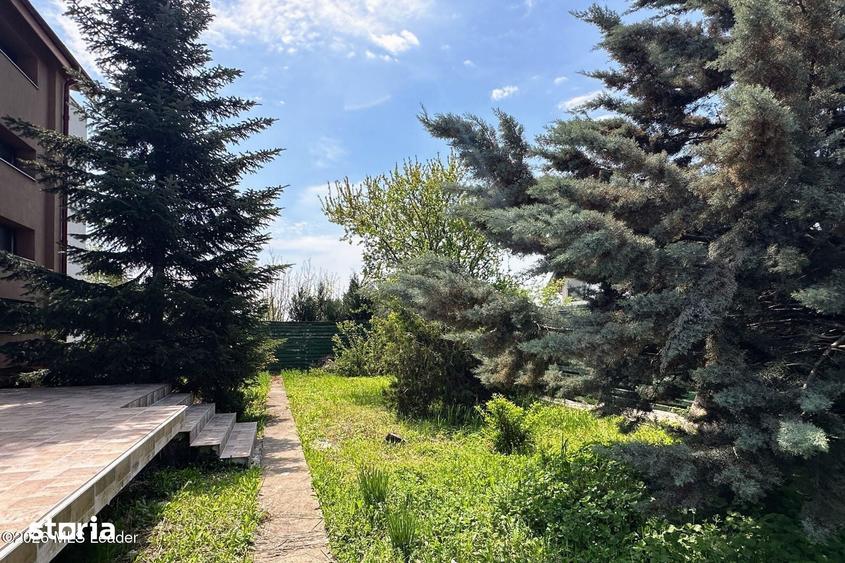 Tamasi - langa padure, casa 300 mp teren 711 mp, personalizabila - 17
