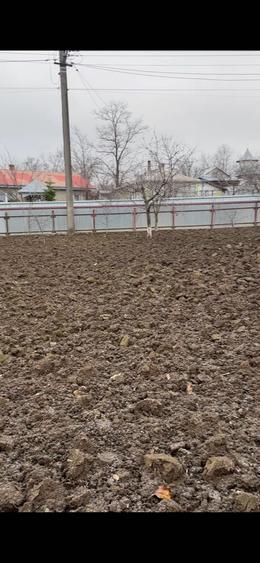 Casă cu 2 camere în Central