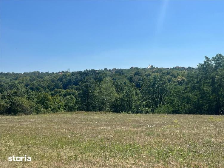 Teren de 21300 mp, în Lăzăreni