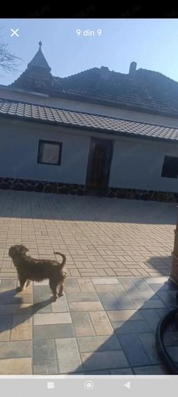 Casă cu Teren 720 Mp în Central