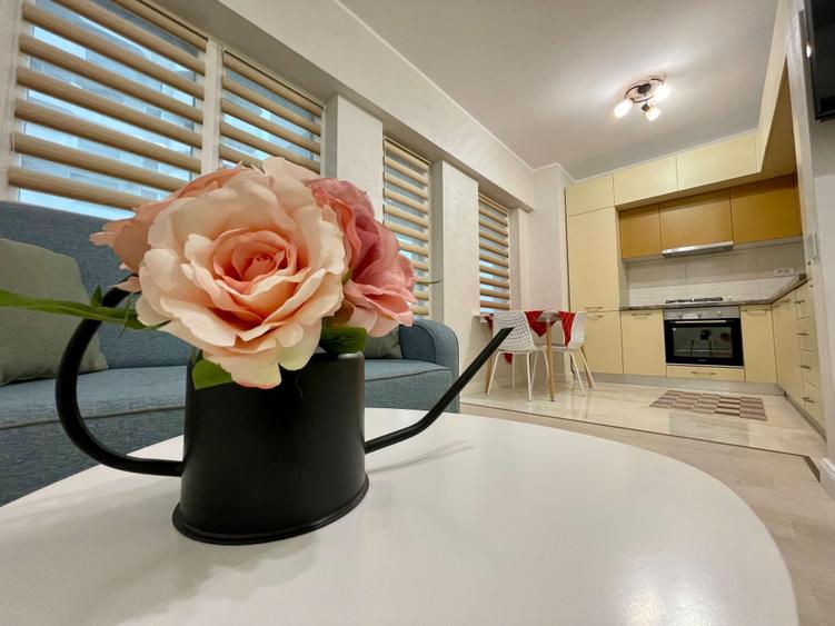 Copou, Royal Town, apartament de inchiriat, 2 camere, amenajat complet, modern - 13