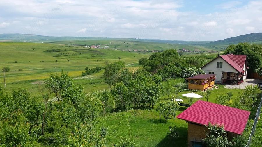 Casă cu Teren 2135 Mp în Petrești