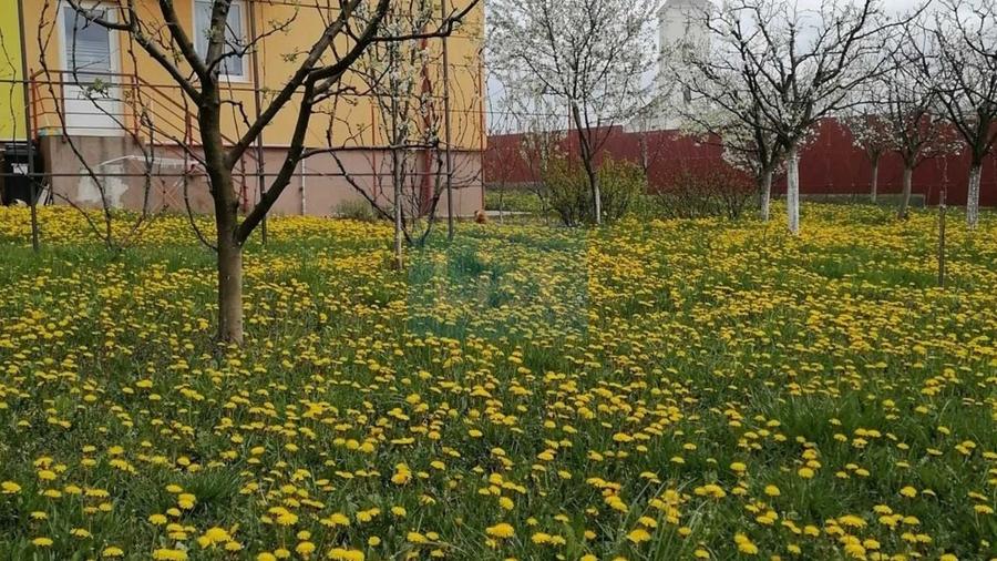 Casă cu 5 camere cu Canalizare în 1 Decembrie
