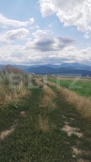 Teren agricol extravilan de 10000 mp, în Cristian