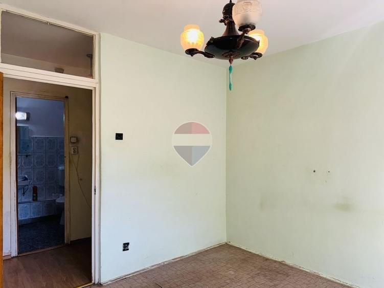 Apartament cu 2 camere decomandat în Teiul Doamnei
