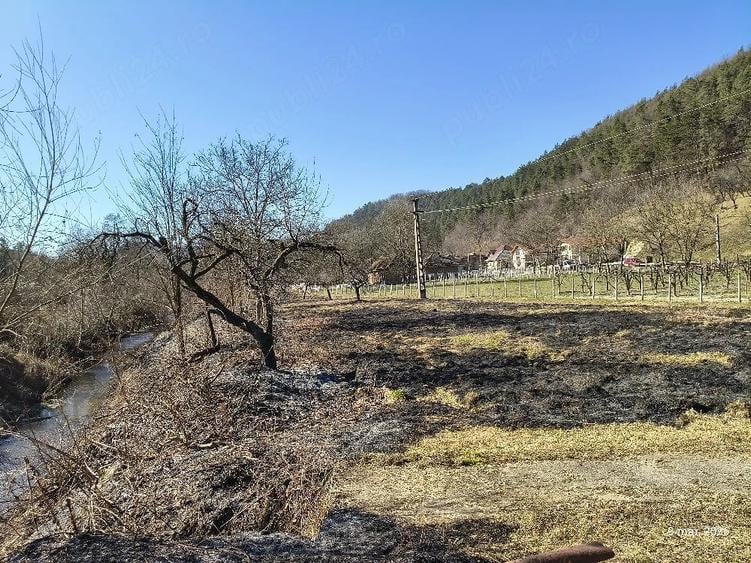 Teren de 34 mp, în Buciumi