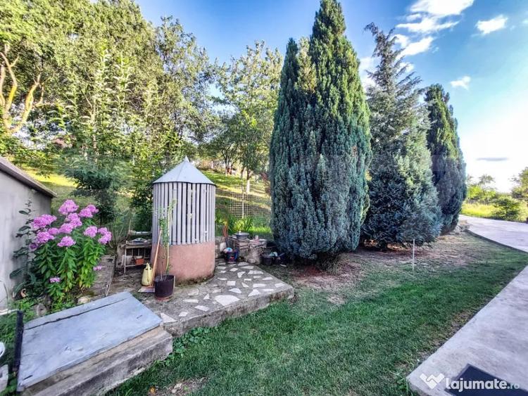 Casă cu 3 camere cu Teren 1903 Mp în Vechea