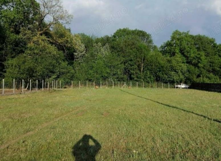 Teren de 6000 mp, în Nord