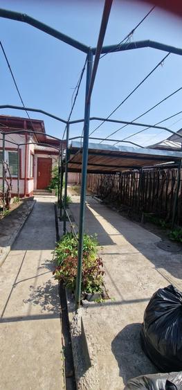 Casă cu 3 camere în Exterior Vest