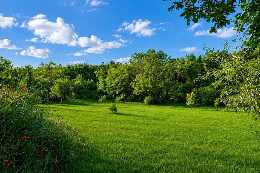 Casă cu 4 camere în Linia din Vale