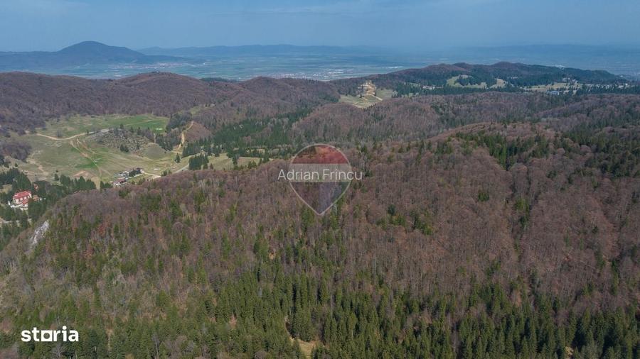 Teren intravilan, 56000 mp, Poiana Brasov