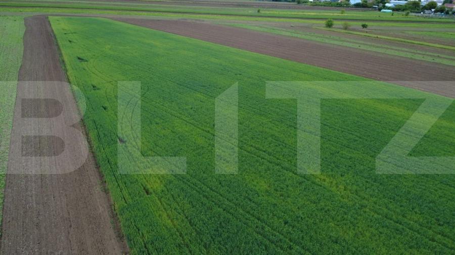 Teren agricol intravilan de 5200 mp, în Șendriceni